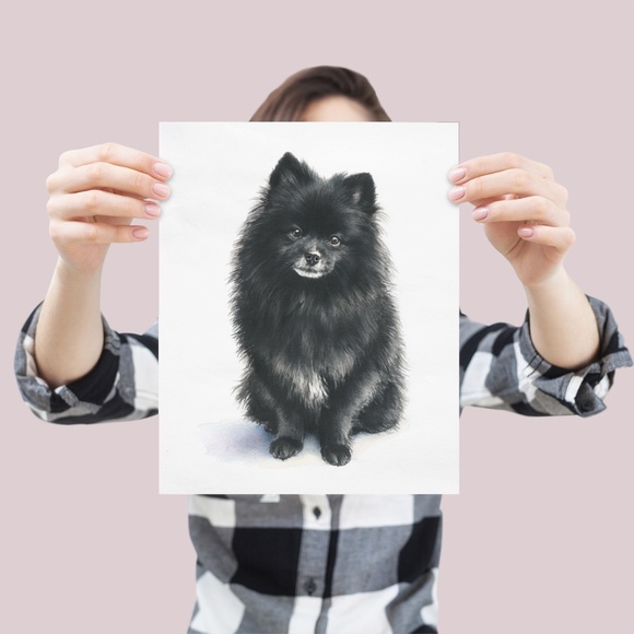 Watercolor Black Pomeranian Dog Portrait Art Print – Unframed Fine Art Poster - Picture 4 of 5